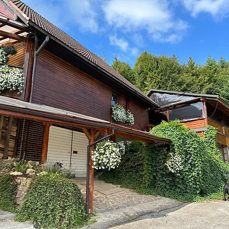 Apartment Privat Antoni - V Rd *
