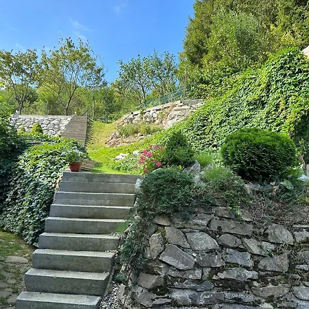 Privat Antoni - V Rd *