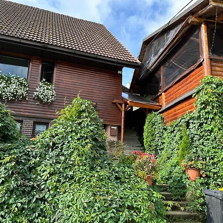 Privat Antoni - V Rd